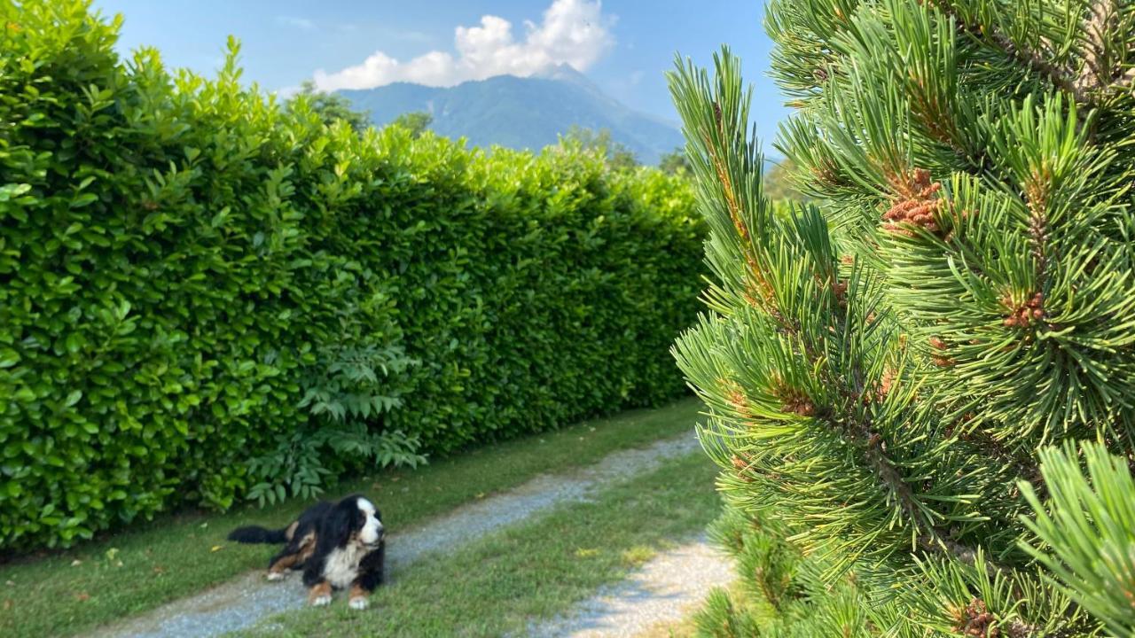 Villa Giulia - Bisalta Peveragno Luaran gambar
